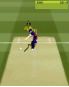 Brian Lara International Cricket 2007 screenshot 1