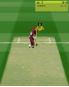 Brian Lara International Cricket 2007 screenshot 2