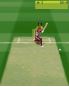 Brian Lara International Cricket 2007 screenshot 3