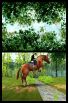 Horse Life screenshot 8