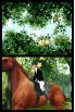 Horse Life screenshot 17