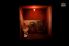 Lume screenshot 8