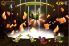 Velocirapture screenshot 4