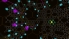 Darknet screenshot 1