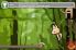 Crazy Test screenshot 4