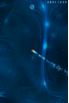 Lightopus screenshot 2