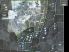 Battle of the Bulge screenshot 5