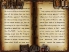 The Sagas of Fire*Wolf screenshot 3