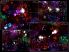Meteor Blitz HD screenshot 4