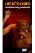 The Holy Hand Grenade screenshot 4