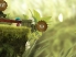 Leo's Fortune screenshot 4