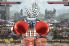 Beast Boxing 3D screenshot 2