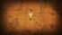 Don't Starve: Pocket Edition screenshot 5