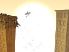 Escape from Age of Monsters screenshot 7