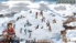 Regalia - Of Men And Monarchs screenshot 2