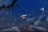 Lowboat screenshot 5