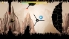 Nimble Games Nimble Birds screenshot 4