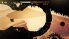 Nimble Games Nimble Birds screenshot 6