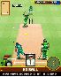 Kevin Pietersen Pro Cricket 2007 screenshot 2