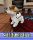 The Sims 2 Pets screenshot 44