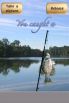 i Fishing screenshot 2