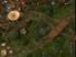 First Wood War screenshot 3