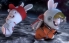 Rabbids Big Bang screenshot 2
