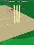 Michael Vaughan Cricket 07/08 screenshot 9