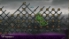 Mushroom 11 screenshot 1
