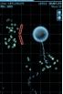 Blue Defense: Second Wave! screenshot 3