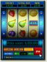 mFortune Mobile Casino screenshot 5