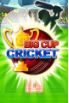 Big Cup Cricket screenshot 5