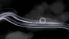 Gathering Sky screenshot 11