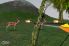 Archery Challenge screenshot 2
