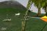 Archery Challenge screenshot 3