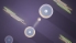 Into The Circle screenshot 3