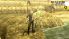 Persona 4 Golden screenshot 4