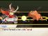 Pokemon Conquest screenshot 4