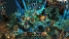 Defenders: Tower Defense Origins screenshot 7