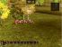 Great Battles Medieval screenshot 13