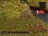 Great Battles Medieval screenshot 14