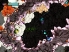 Beatbuddy screenshot 7