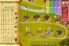 Caylus screenshot 1
