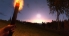 The Wild screenshot 3