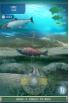 Field & Stream Fishing screenshot 2