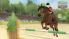 Petz: Saddle Club screenshot 2