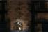 Prince of Persia Classic screenshot 2