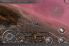 Dogged Wings: World War II screenshot 4