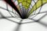 SpeedX 3D screenshot 1