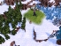Spirits of Spring screenshot 8